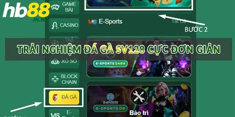 Thưởng thức những loại hình chọi gà hấp dẫn bậc nhất hiện nay